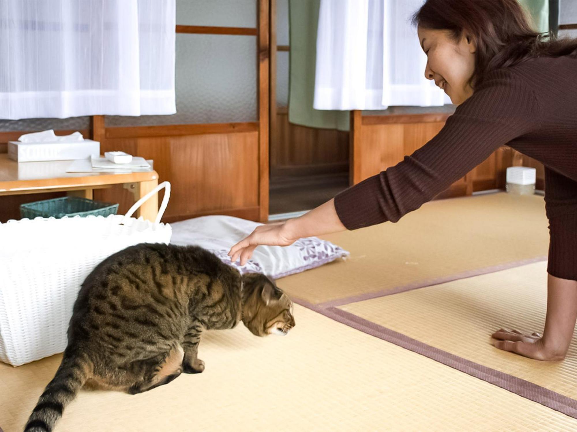 Hotel Guest Cafe Kuchikumano Kamitondacho Exteriér fotografie